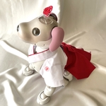 巫女ワンさん