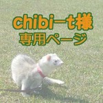 ☆゜+.chibi-t様専用ページ☆゜+.