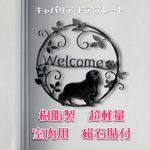 キャバリア ドアプレート大　メタルブラック色【箱入り】