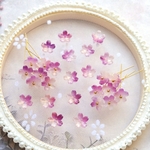 新作★10mm 桜　サクラソウ　梅　お花のガラスビーズ  ゴールドグリッター×チリアンパープルグラデーション