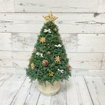 少し大きめサイズ　(高さ約42cm) 森のクリスマスツリー　ヒムロスギのクリスマスツリー 