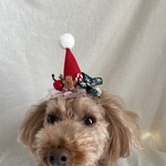 クリスマスミニミニサンタ帽子🧑‍🎄