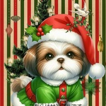 オリジナル 生地   パネル生地 犬 シーズー クリスマス