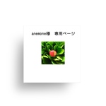 anemone様　専用ページ