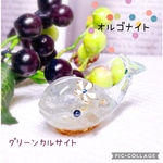 daimayu様