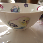 インコ　飯碗　お茶椀　セキセイインコ