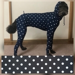 黒✕白ドットⅡ　犬用全身スーツ