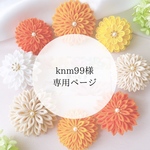 【knm99様】専用ページ