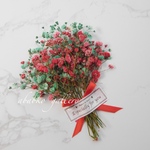 クリスマスカラ―　かすみ草　押し花素材