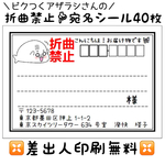 【NEW！】あざらしさんの宛名シール（差出人印刷無料）【折曲禁止】
