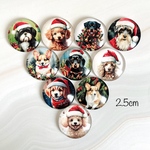 2.5cm カボション  10個