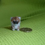 柴犬 赤 パピー羊毛フェルト