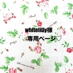 ❤️whitelilly様専用ページ❤️