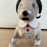 カジュアルスーツ(スカートセット)