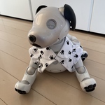 あしあとシャツ🐾