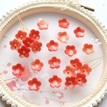 新作★12mm椿　梅　桃の花　お花のアセテートパーツ　コーラルレッドグラデーション