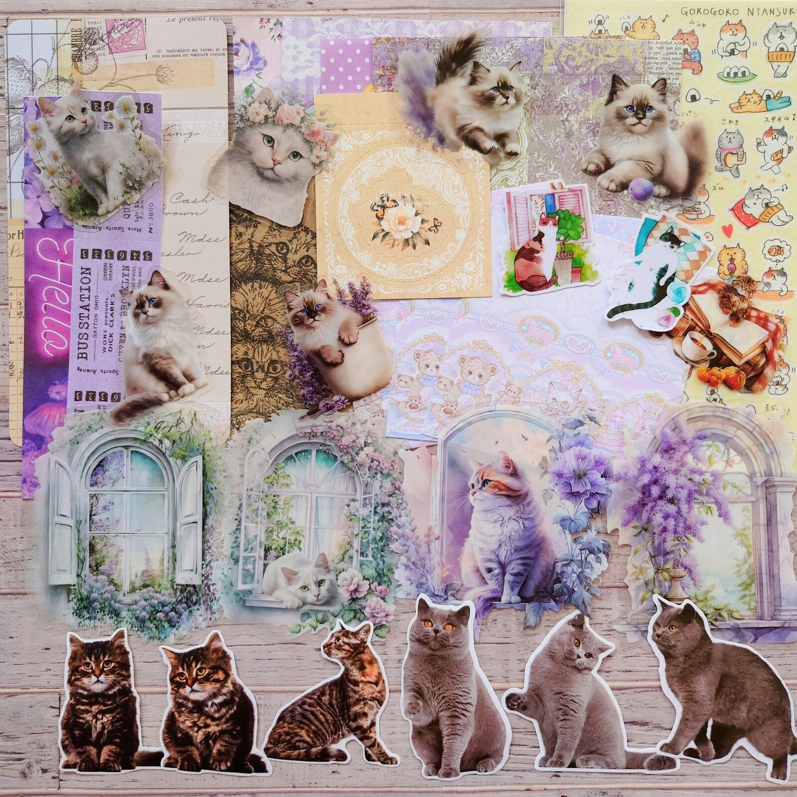 ねこ  おすそ分けファイル2冊 ねこ おすそ分けファイル2冊 m75546007734_1.jpg?1732609275
