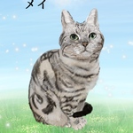 ペット　似顔絵　うちの子イラスト　ねこ　猫レスキュー