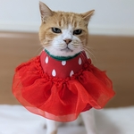 シフォンスカートいちごドレス
