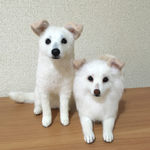 オーダー品✿白いわんちゃん✿羊毛フェルト
