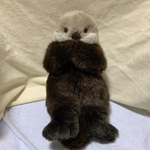 ラッコ赤ちゃん　ぬいぐるみ