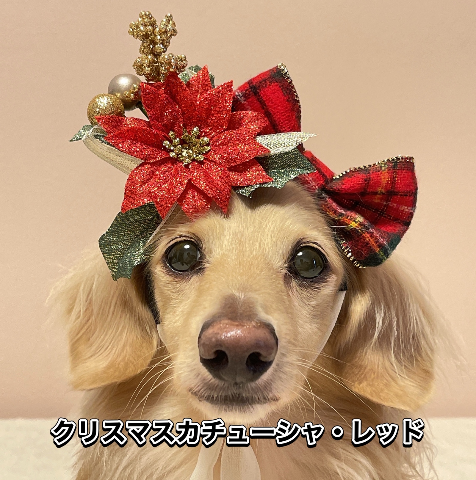 ペット用 カチューシャ チェック クリスマス リボン - MUNIco'S