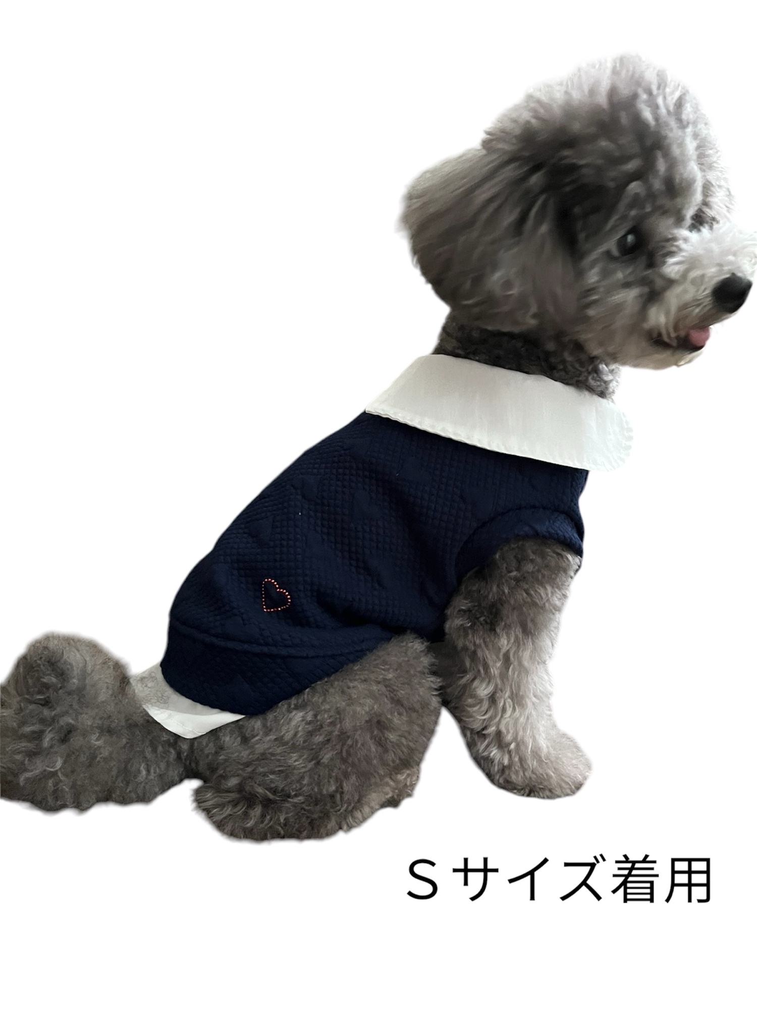 マルチーズの人気通販 | minne 国内最大級のハンドメイド