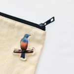 【SALE】野鳥のピンバッチ：イソヒヨドリくん（ピンが選べる）