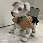 ミッション系スクール　メイツaibo ちゃんの粋トップス　ライトブラウン　袖あり