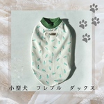 棒アイス　小型犬　ミント