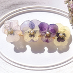 【ビオラのバレッタ】　白　紫　黄色　生花　ビオラ　バレッタ　パール　レジン　フラワー　花