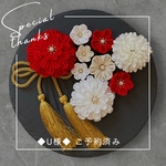 ✿華やぎに燃ゆる深紅