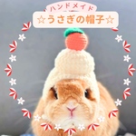 🍊♡うさぎの帽子♡鏡餅風
