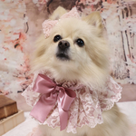 姫ピンクケープ ꪆ୧　