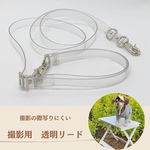 撮影専用　透明リード　インスタ映え間違いなし！　クリアリード