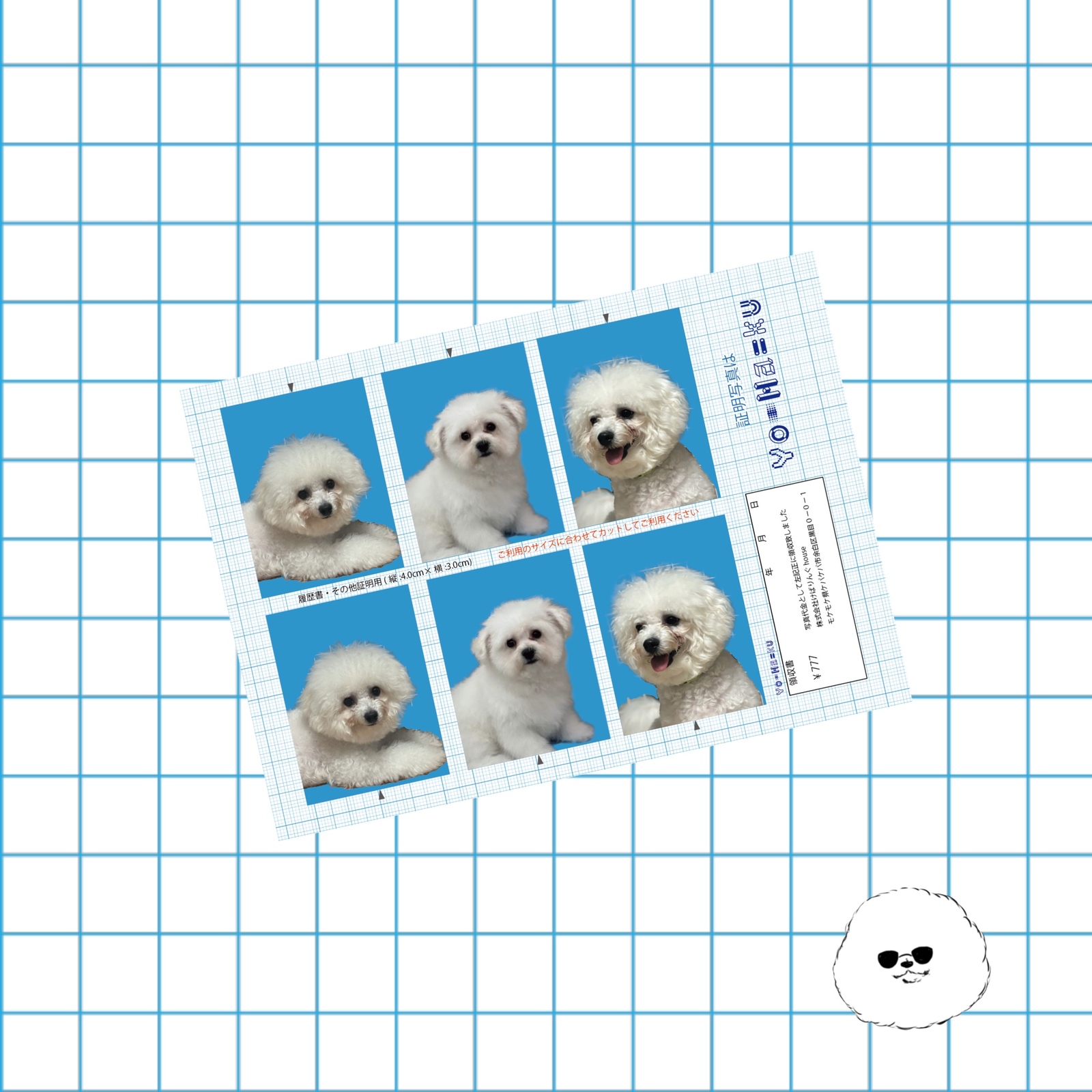 ちょこんとおすわりビションフリーゼ うちの子シーグラスアート