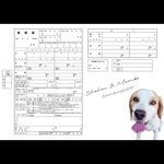 婚姻届 デザイン婚姻届 オリジナル婚姻届 ペットの写真 愛犬 愛猫 世界に一つだけの婚姻届