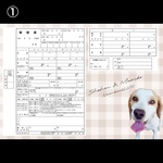婚姻届 デザイン婚姻届 オリジナル婚姻届 ペットの写真 愛犬 愛猫 世界に一つだけの婚姻届