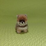 おちび豆柴　赤　パピー　羊毛フェルト