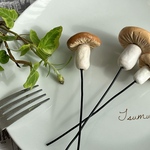 森のガーデンピック＊きのこC