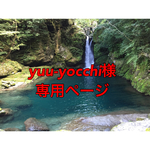yuu-yocchi様専用