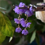 2pcs)3493)フラワータッセル)purple)#1y