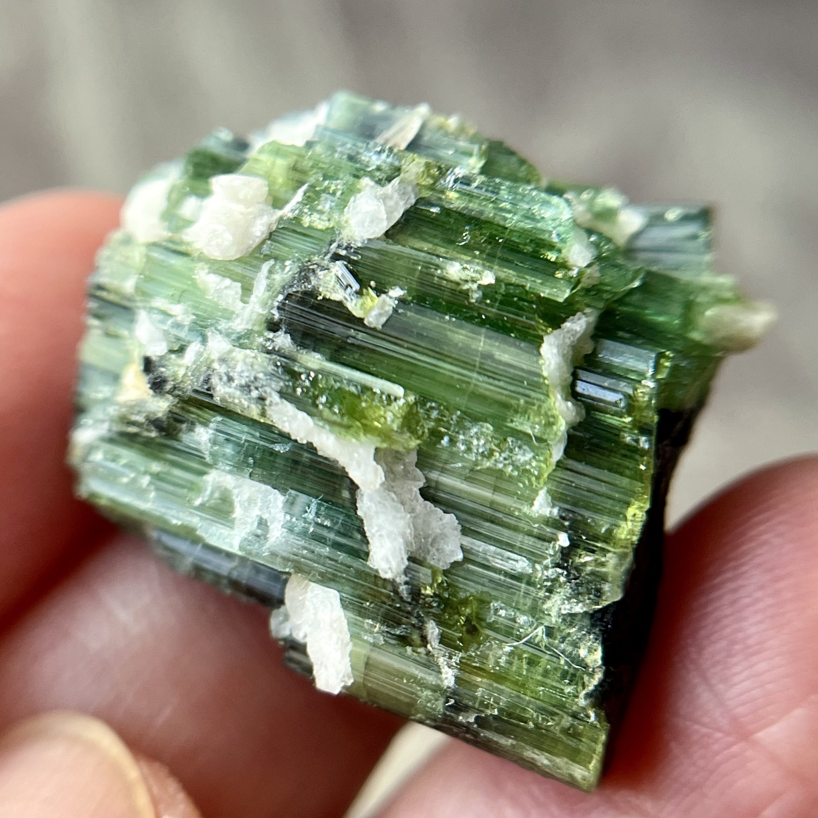 半*ル様 グリーントルマリン　原石　鉱物標本　天然石　834 宝石質 バイカラー グリーン トルマリン 原石 53.55ct