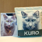 aiaiai0626様専用カート❤︎愛猫の刺繍ポーチ