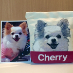 chetama様専用カート❤︎愛犬の刺繍ポーチ