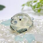 Ph02 宇宙を宿すガラスのアザラシ