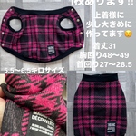 イタグレ服　イタグレの服
