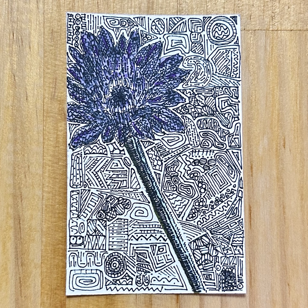 むらさきの花