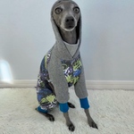オーダー犬服 グラフィティ切替 ロンパース
