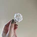 手のひらの花
